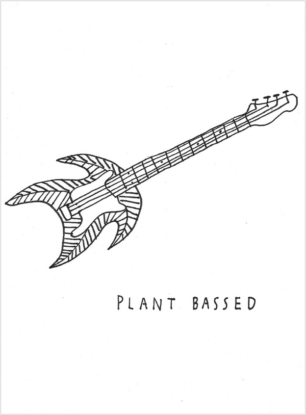 PLANT BASSED